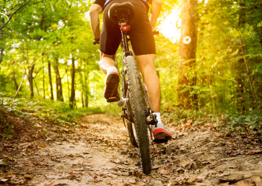 mountain bike repair mountain bike repair